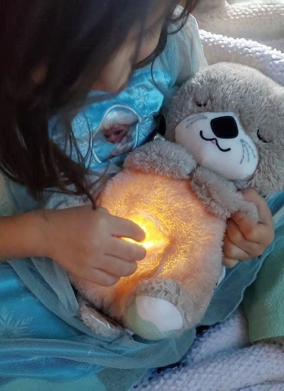 Breathing Teddy! Combo (Multi Color)