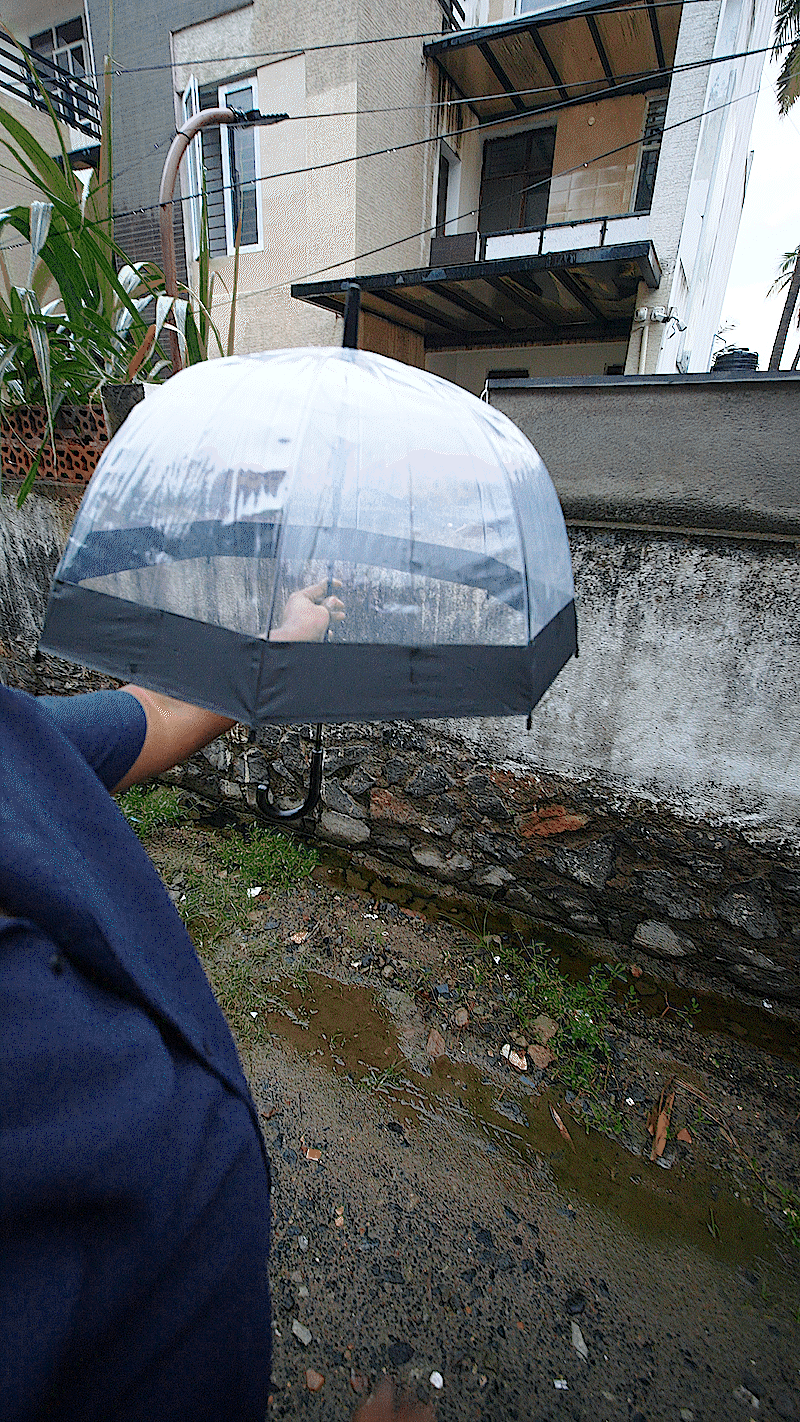 ⭐ Transparent Umbrella – Stylish, Strong & All-Weather Protection