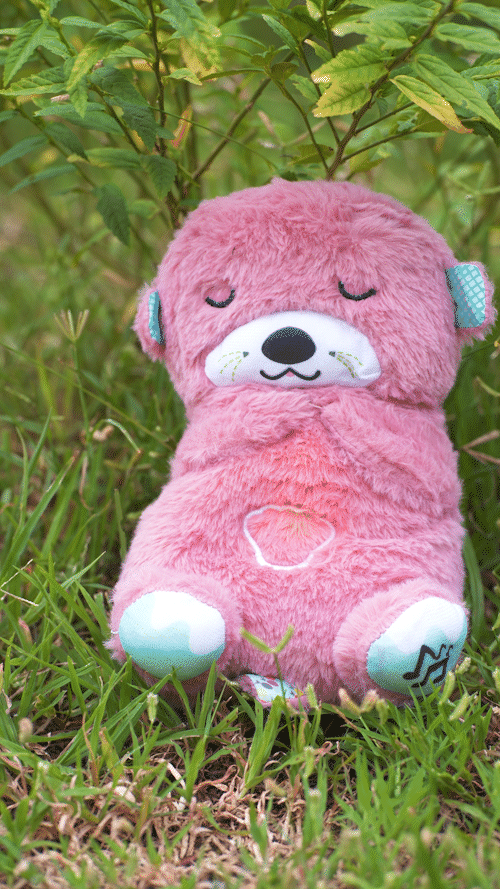 Breathing Teddy! Combo (Multi Color)